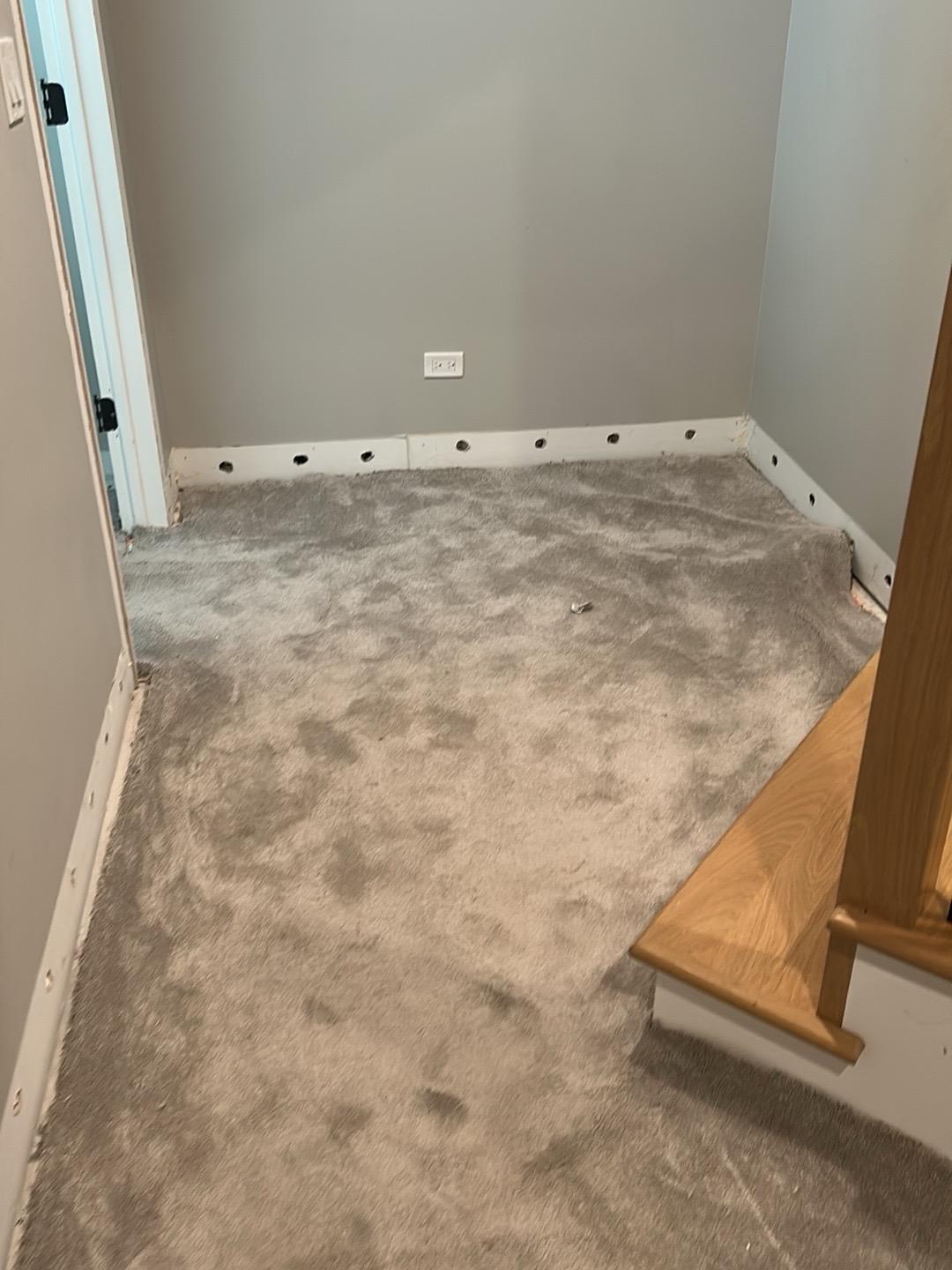 Carpeted room with vent holes drilled in the baseboards for wall-cavity drying in a Glen Ellyn home
