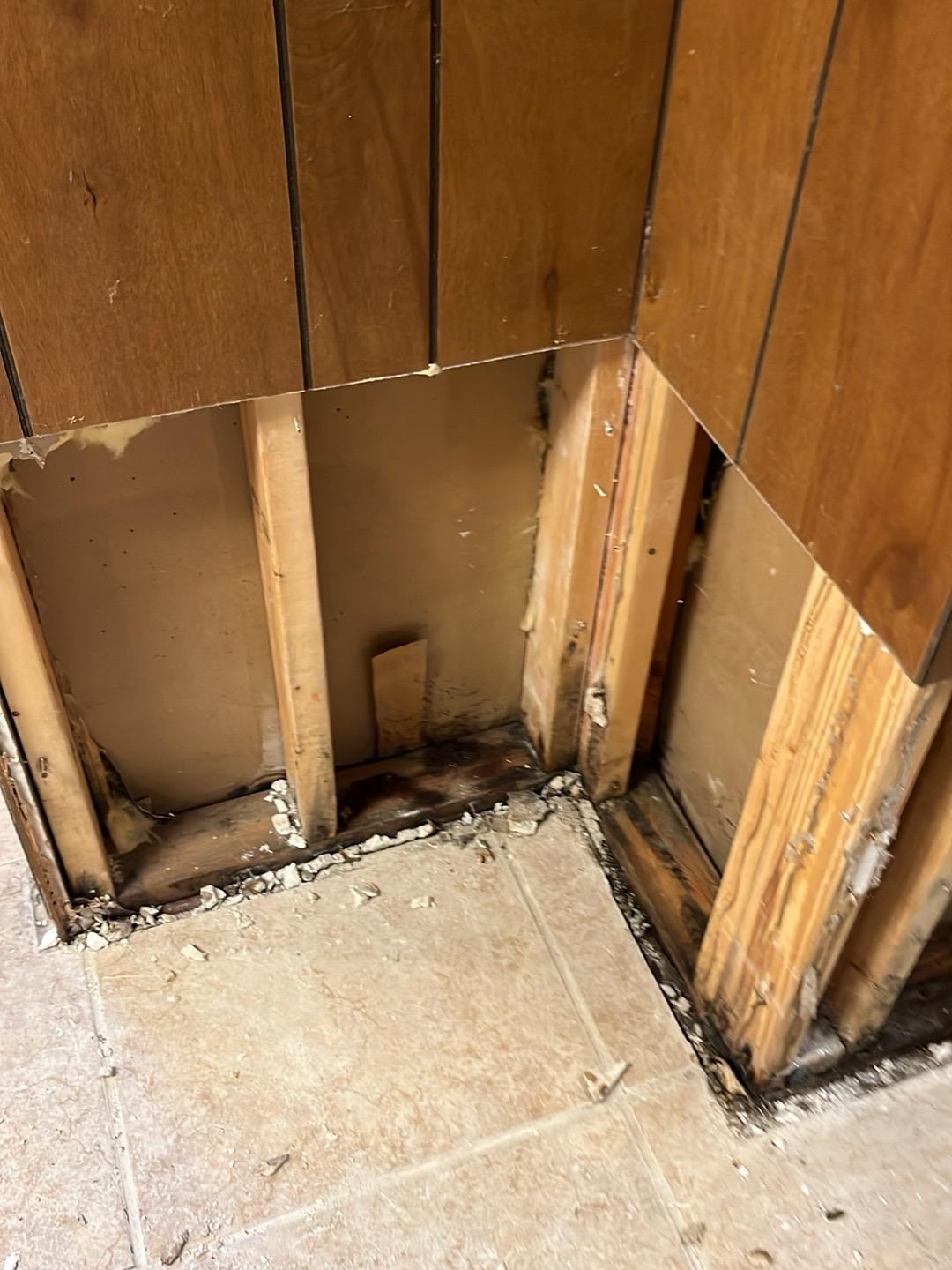 Basement wall opened to the studs after water damage demolition in a Darien home
