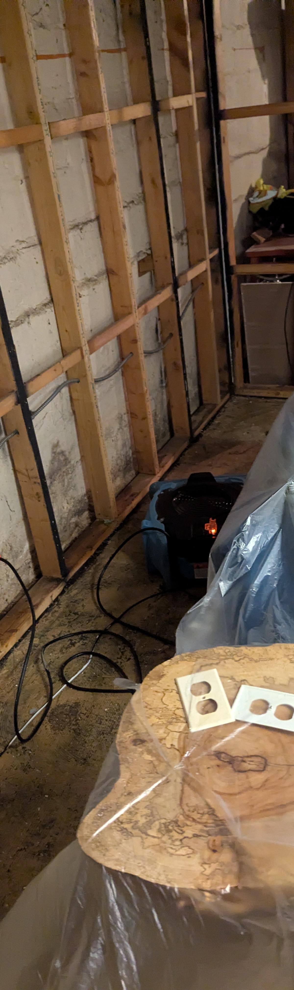 Basement wall studs exposed with an air mover drying the room in an Aurora home